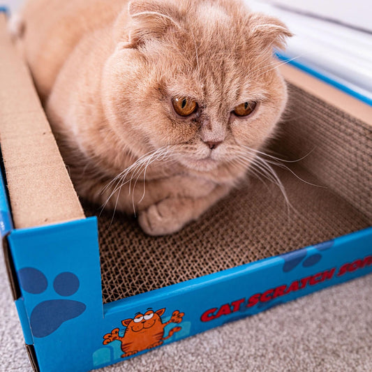 Cat Bed Scratcher Luxury Pet Scratching Lounge Sofa Corrugated Cardboard Beds Indoor Cats Scratch Lounger Catnip