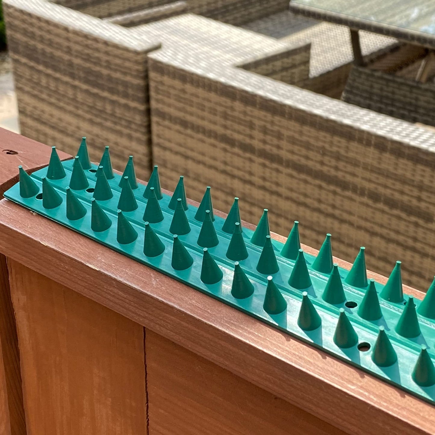 Fence Wall Spikes Garden Security Intruder Bird Cat Repellent Burglar Anti Climb