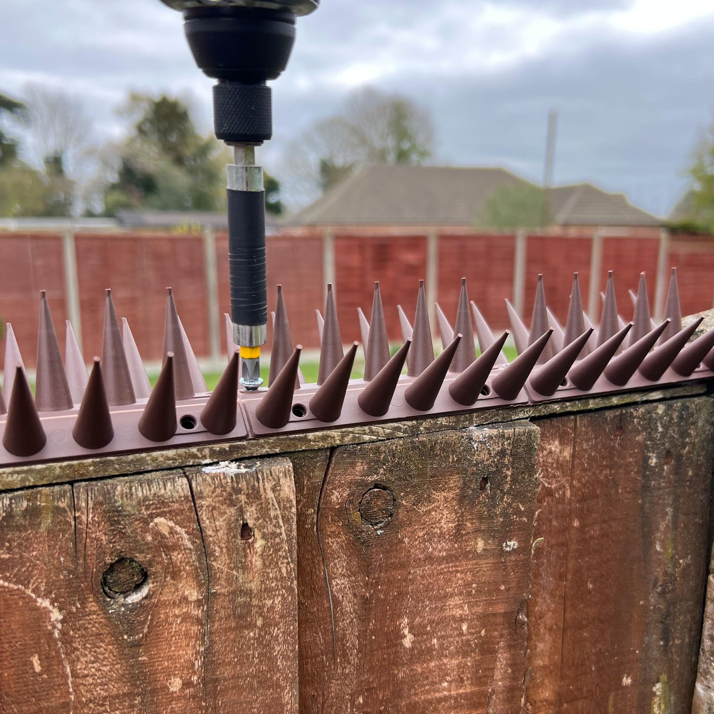 Fence Wall Spikes Garden Tall Bird Spikes Cat Pigeon Deterrent Coverage of Approx.16M Per Box Anti Climb 44 x 4.3 x 3.8cm Warning Sign Included & Screws