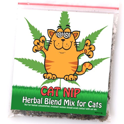 Cat Bed Scratcher Luxury Pet Scratching Lounge Sofa Corrugated Cardboard Beds Indoor Cats Scratch Lounger Catnip