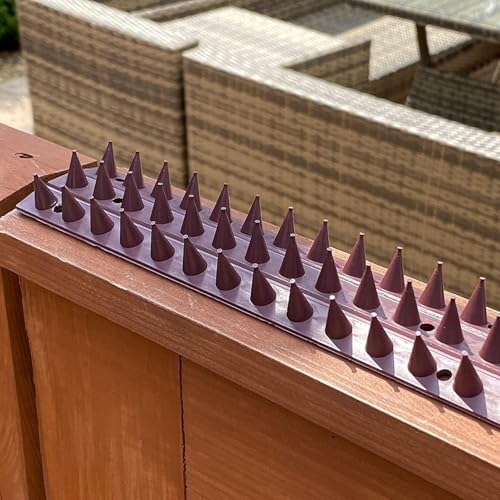 S4U Fence Wall Spikes Garden Security Guard Anti Climb Cat Bird Spikes Intruder Pest Deterrent 50 x 4.5 x 1.5cm Warning Sign & Screws Included