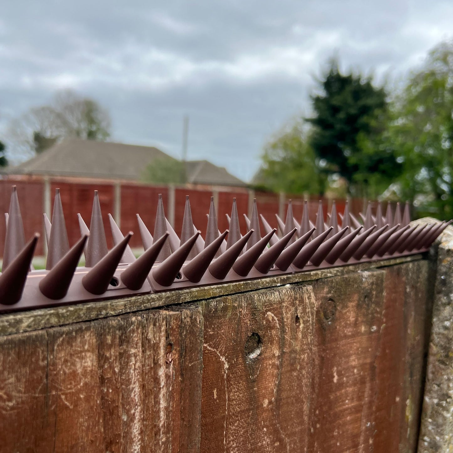 Fence Wall Spikes Garden Tall Bird Spikes Cat Pigeon Deterrent Coverage of Approx.16M Per Box Anti Climb 44 x 4.3 x 3.8cm Warning Sign Included & Screws