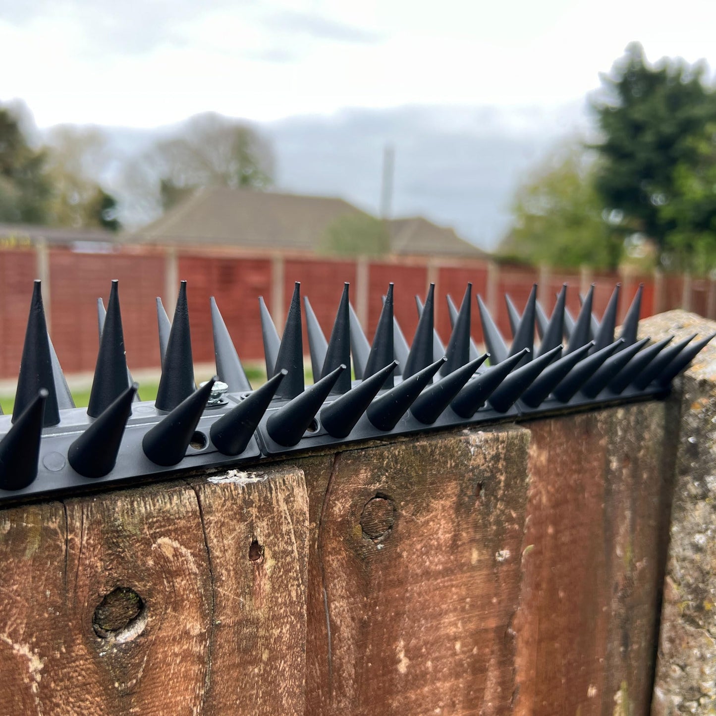 Fence Wall Spikes Garden Tall Bird Spikes Cat Pigeon Deterrent Coverage of Approx.16M Per Box Anti Climb 44 x 4.3 x 3.8cm Warning Sign Included & Screws