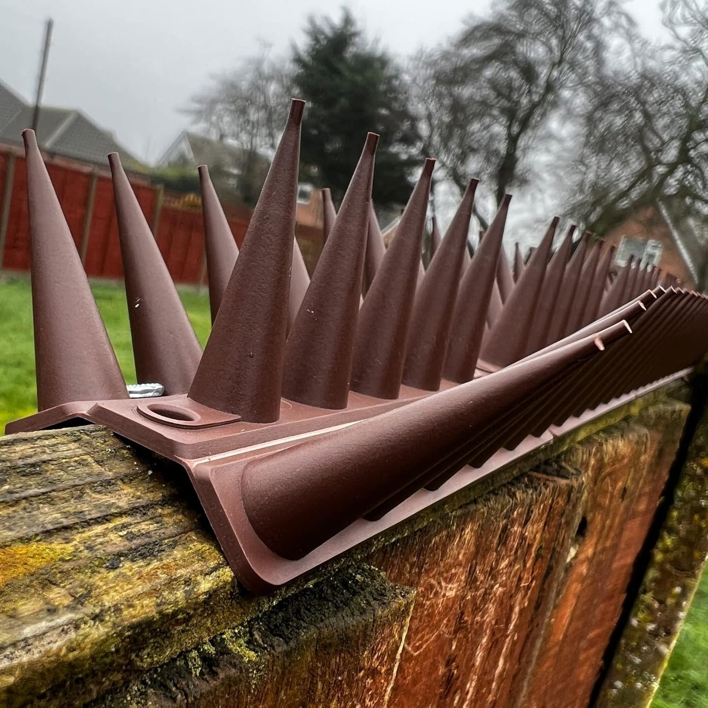 Fence Wall Spikes Garden Tall Bird Spikes Cat Pigeon Deterrent Coverage of Approx.16M Per Box Anti Climb 44 x 4.3 x 3.8cm Warning Sign Included & Screws